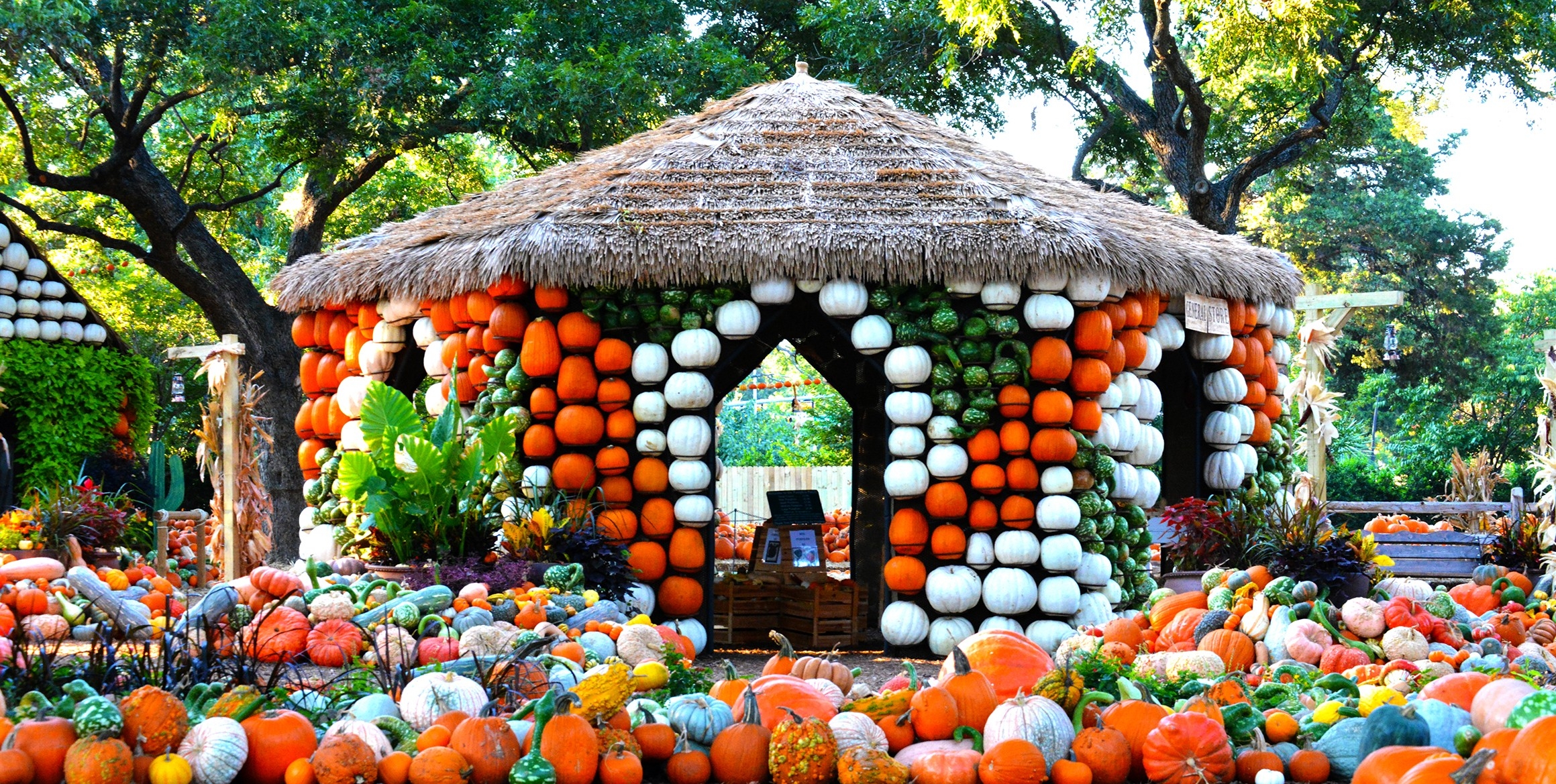video vung dat neverland lam tu 100000 qua bi ngo