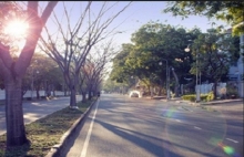 thoi tiet hom nay 1811 ha noi troi nang co mua rao rai rac