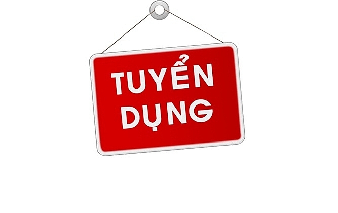 xang dau toan viet tuyen dung chuyen vien kinh doanh