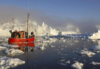 Đồng thuận cấm đánh bắt cá ở biển trung tâm Bắc Cực
