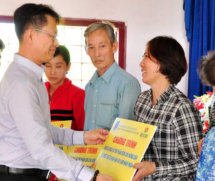 hat ngoc tren nhung canh dong