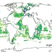 Thấy gì từ bản đồ đánh bắt hải sản thế giới?