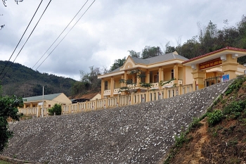 cham mam xanh noi dat trang