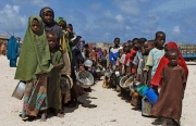 Chính sách năng lượng của EU có thể làm trầm trọng thêm nạn đói ở châu Phi