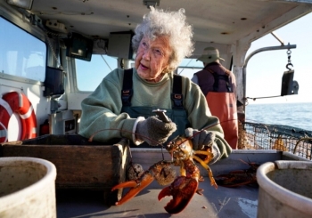 Người đánh bắt tôm hùm già nhất ở vịnh Maine vẫn chưa muốn nghỉ hưu