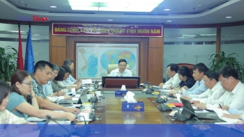 Tổng Giám đốc Lê Mạnh Hùng làm việc với Tổng Công ty Điện lực Dầu khí